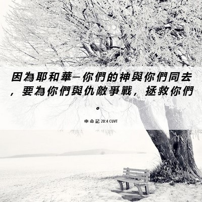 Picture 06 - 申 命 記 20:4 CUVT - 因 為 耶 和 華 ─ 你 們 的 神 與 你 - Bible Verse Picture