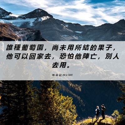 Picture 06 - 申 命 記 20:6 CUVT - 誰 種 葡 萄 園 ， 尚 未 用 所 結 的 - Bible Verse Picture