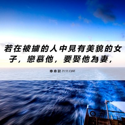 Picture 06 - 申 命 記 21:11 CUVT - 若 在 被 擄 的 人 中 見 有 美 貌 的 - Bible Verse Picture