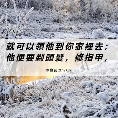 Picture 06 - 申 命 記 21:12 CUVT - 就 可 以 領 他 到 你 家 裡 去 ； 他 - Bible Verse Picture