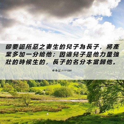 Picture 06 - 申 命 記 21:17 CUVT - 卻 要 認 所 惡 之 妻 生 的 兒 子 為 - Bible Verse Picture