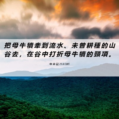 Picture 06 - 申 命 記 21:4 CUVT - 把 母 牛 犢 牽 到 流 水 、 未 曾 耕 - Bible Verse Picture