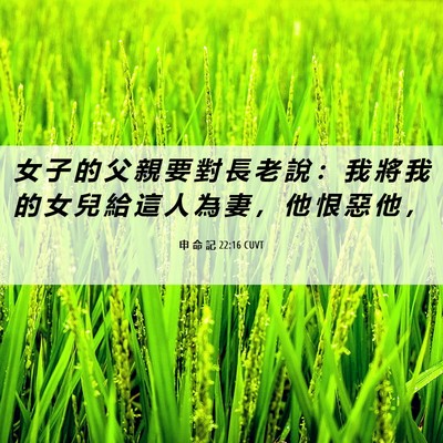 Picture 06 - 申 命 記 22:16 CUVT - 女 子 的 父 親 要 對 長 老 說 ： 我 - Bible Verse Picture