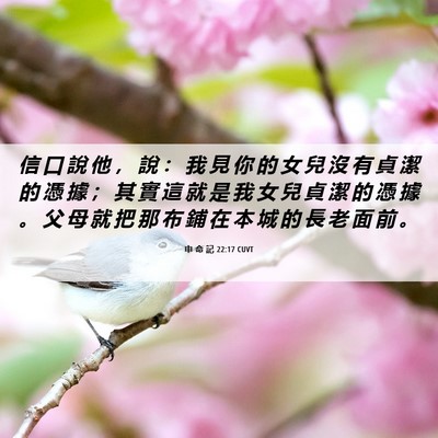 Picture 06 - 申 命 記 22:17 CUVT - 信 口 說 他 ， 說 ： 我 見 你 的 女 - Bible Verse Picture