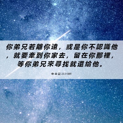Picture 06 - 申 命 記 22:2 CUVT - 你 弟 兄 若 離 你 遠 ， 或 是 你 不 - Bible Verse Picture