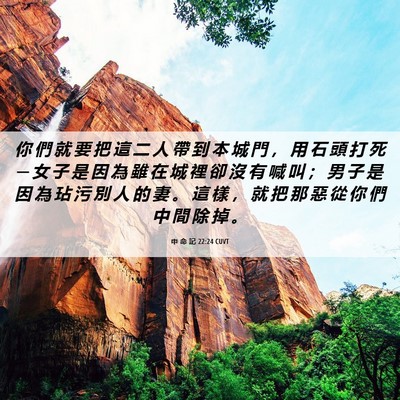 Picture 06 - 申 命 記 22:24 CUVT - 你 們 就 要 把 這 二 人 帶 到 本 城 - Bible Verse Picture