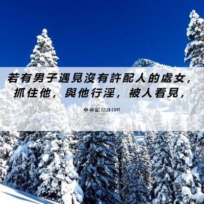 Picture 06 - 申 命 記 22:28 CUVT - 若 有 男 子 遇 見 沒 有 許 配 人 的 - Bible Verse Picture