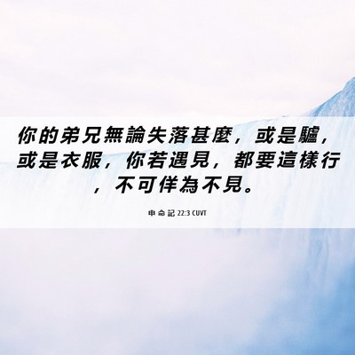 Picture 06 - 申 命 記 22:3 CUVT - 你 的 弟 兄 無 論 失 落 甚 麼 ， 或 - Bible Verse Picture