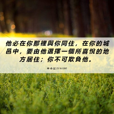 Picture 06 - 申 命 記 23:16 CUVT - 他 必 在 你 那 裡 與 你 同 住 ， 在 - Bible Verse Picture