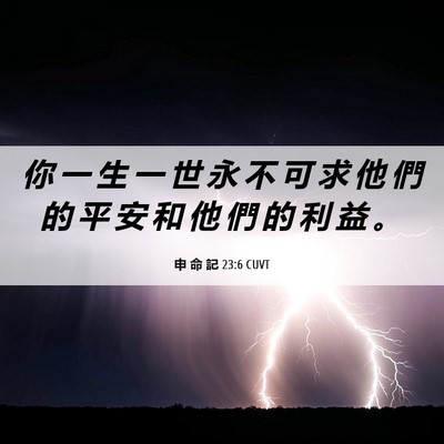 Picture 06 - 申 命 記 23:6 CUVT - 你 一 生 一 世 永 不 可 求 他 們 的 - Bible Verse Picture