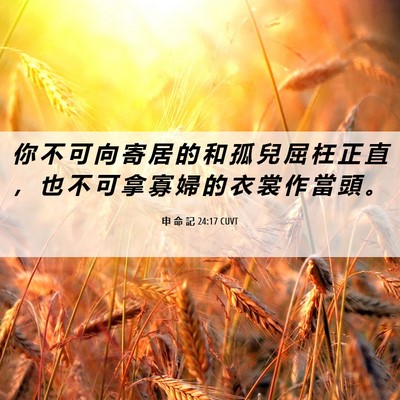Picture 06 - 申 命 記 24:17 CUVT - 你 不 可 向 寄 居 的 和 孤 兒 屈 枉 - Bible Verse Picture