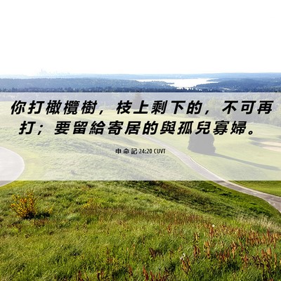 Picture 06 - 申 命 記 24:20 CUVT - 你 打 橄 欖 樹 ， 枝 上 剩 下 的 ， - Bible Verse Picture