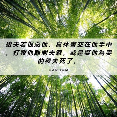 Picture 06 - 申 命 記 24:3 CUVT - 後 夫 若 恨 惡 他 ， 寫 休 書 交 在 - Bible Verse Picture