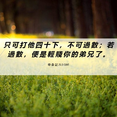 Picture 06 - 申 命 記 25:3 CUVT - 只 可 打 他 四 十 下 ， 不 可 過 數 - Bible Verse Picture