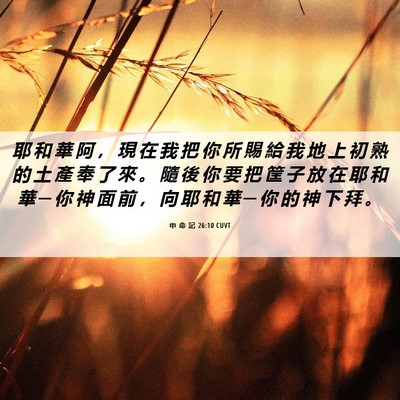 Picture 06 - 申 命 記 26:10 CUVT - 耶 和 華 阿 ， 現 在 我 把 你 所 賜 - Bible Verse Picture