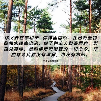Picture 06 - 申 命 記 26:13 CUVT - 你 又 要 在 耶 和 華 ─ 你 神 面 前 - Bible Verse Picture