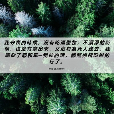 Picture 06 - 申 命 記 26:14 CUVT - 我 守 喪 的 時 候 ， 沒 有 吃 這 聖 - Bible Verse Picture