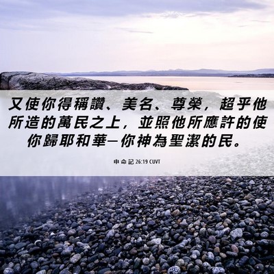 Picture 06 - 申 命 記 26:19 CUVT - 又 使 你 得 稱 讚 、 美 名 、 尊 榮 - Bible Verse Picture