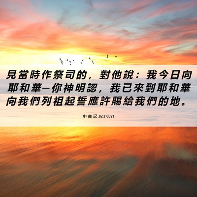 Picture 06 - 申 命 記 26:3 CUVT - 見 當 時 作 祭 司 的 ， 對 他 說 ： - Bible Verse Picture