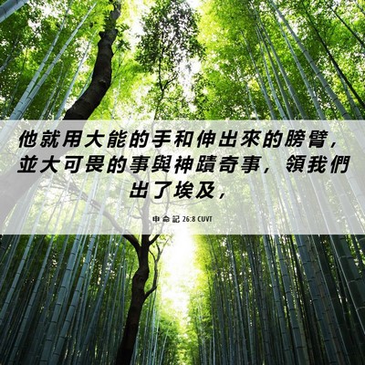 Picture 06 - 申 命 記 26:8 CUVT - 他 就 用 大 能 的 手 和 伸 出 來 的 - Bible Verse Picture