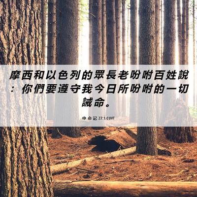 Picture 06 - 申 命 記 27:1 CUVT - 摩 西 和 以 色 列 的 眾 長 老 吩 咐 - Bible Verse Picture