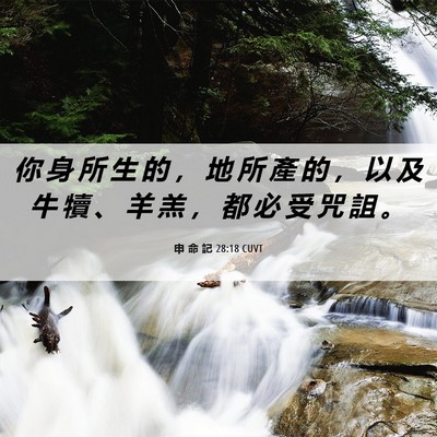 Picture 06 - 申 命 記 28:18 CUVT - 你 身 所 生 的 ， 地 所 產 的 ， 以 - Bible Verse Picture