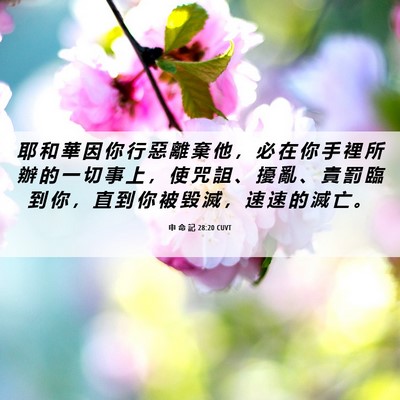 Picture 06 - 申 命 記 28:20 CUVT - 耶 和 華 因 你 行 惡 離 棄 他 ， 必 - Bible Verse Picture
