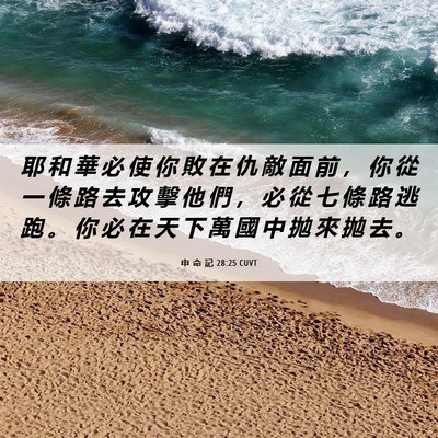 Picture 06 - 申 命 記 28:25 CUVT - 耶 和 華 必 使 你 敗 在 仇 敵 面 前 - Bible Verse Picture