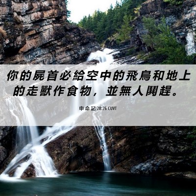 Picture 06 - 申 命 記 28:26 CUVT - 你 的 屍 首 必 給 空 中 的 飛 鳥 和 - Bible Verse Picture
