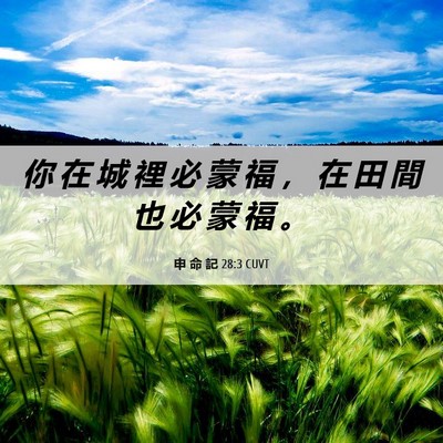 Picture 06 - 申 命 記 28:3 CUVT - 你 在 城 裡 必 蒙 福 ， 在 田 間 也 - Bible Verse Picture