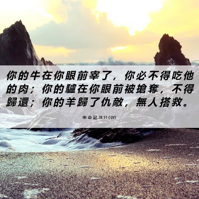 Picture 06 - 申 命 記 28:31 CUVT - 你 的 牛 在 你 眼 前 宰 了 ， 你 必 - Bible Verse Picture