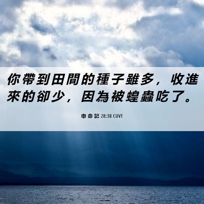 Picture 06 - 申 命 記 28:38 CUVT - 你 帶 到 田 間 的 種 子 雖 多 ， 收 - Bible Verse Picture
