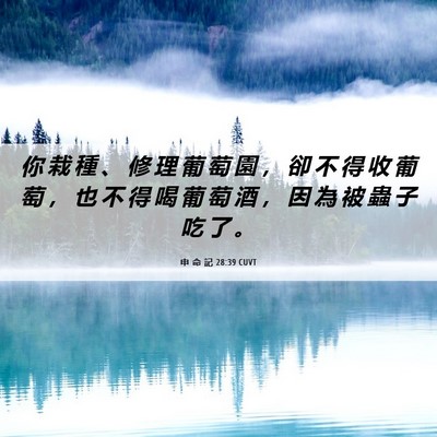 Picture 06 - 申 命 記 28:39 CUVT - 你 栽 種 、 修 理 葡 萄 園 ， 卻 不 - Bible Verse Picture