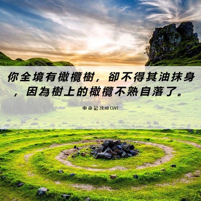 Picture 06 - 申 命 記 28:40 CUVT - 你 全 境 有 橄 欖 樹 ， 卻 不 得 其 - Bible Verse Picture