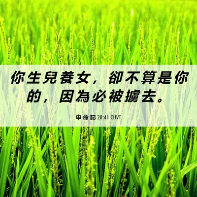 Picture 06 - 申 命 記 28:41 CUVT - 你 生 兒 養 女 ， 卻 不 算 是 你 的 - Bible Verse Picture