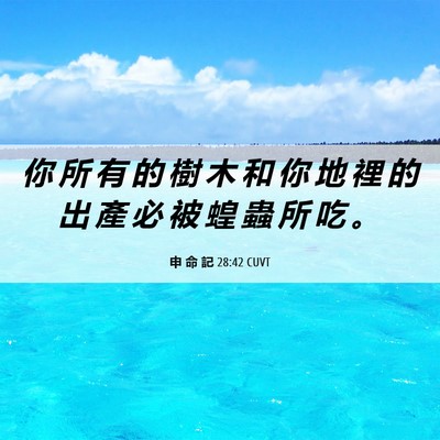 Picture 06 - 申 命 記 28:42 CUVT - 你 所 有 的 樹 木 和 你 地 裡 的 出 - Bible Verse Picture