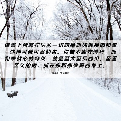 Picture 06 - 申 命 記 28:58 CUVT - 這 書 上 所 寫 律 法 的 一 切 話 是 - Bible Verse Picture