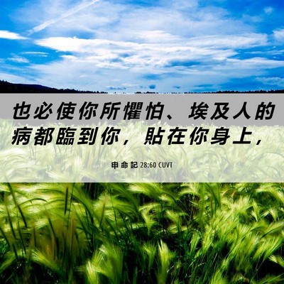 Picture 06 - 申 命 記 28:60 CUVT - 也 必 使 你 所 懼 怕 、 埃 及 人 的 - Bible Verse Picture