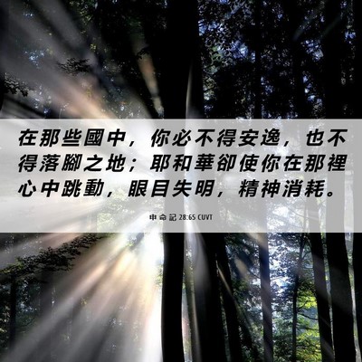 Picture 06 - 申 命 記 28:65 CUVT - 在 那 些 國 中 ， 你 必 不 得 安 逸 - Bible Verse Picture
