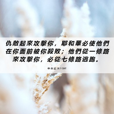 Picture 06 - 申 命 記 28:7 CUVT - 仇 敵 起 來 攻 擊 你 ， 耶 和 華 必 - Bible Verse Picture