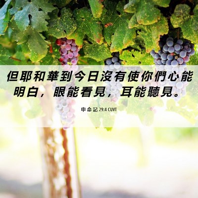 Picture 06 - 申 命 記 29:4 CUVT - 但 耶 和 華 到 今 日 沒 有 使 你 們 - Bible Verse Picture