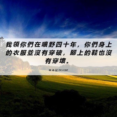 Picture 06 - 申 命 記 29:5 CUVT - 我 領 你 們 在 曠 野 四 十 年 ， 你 - Bible Verse Picture