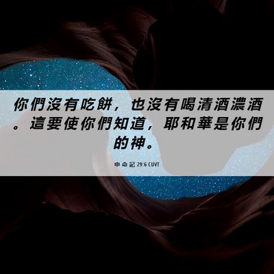 Picture 06 - 申 命 記 29:6 CUVT - 你 們 沒 有 吃 餅 ， 也 沒 有 喝 清 - Bible Verse Picture