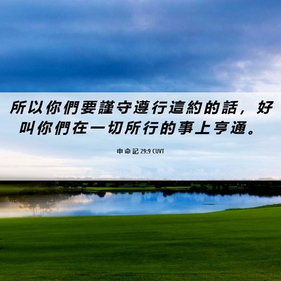 Picture 06 - 申 命 記 29:9 CUVT - 所 以 你 們 要 謹 守 遵 行 這 約 的 - Bible Verse Picture