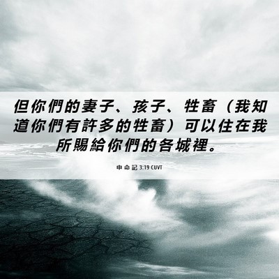 Picture 06 - 申 命 記 3:19 CUVT - 但 你 們 的 妻 子 、 孩 子 、 牲 畜 - Bible Verse Picture