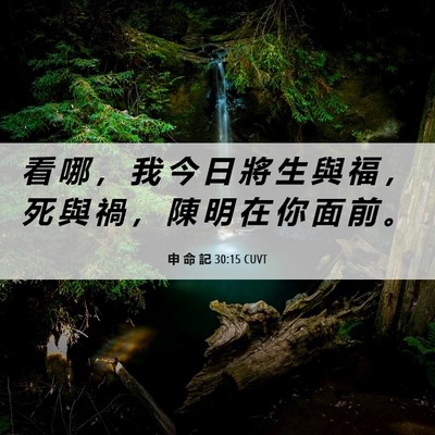 Picture 06 - 申 命 記 30:15 CUVT - 看 哪 ， 我 今 日 將 生 與 福 ， 死 - Bible Verse Picture