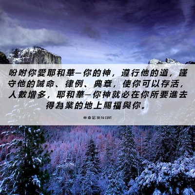 Picture 06 - 申 命 記 30:16 CUVT - 吩 咐 你 愛 耶 和 華 ─ 你 的 神 ， - Bible Verse Picture