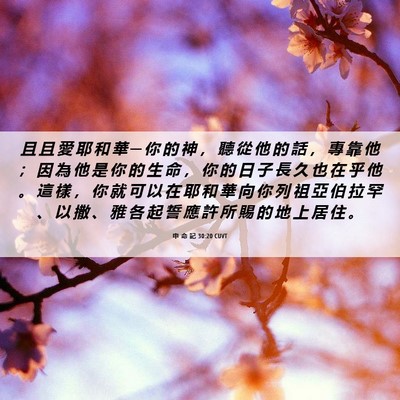 Picture 06 - 申 命 記 30:20 CUVT - 且 且 愛 耶 和 華 ─ 你 的 神 ， 聽 - Bible Verse Picture