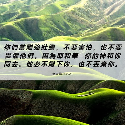 Picture 06 - 申 命 記 31:6 CUVT - 你 們 當 剛 強 壯 膽 ， 不 要 害 怕 - Bible Verse Picture