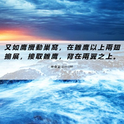 Picture 06 - 申 命 記 32:11 CUVT - 又 如 鷹 攪 動 巢 窩 ， 在 雛 鷹 以 - Bible Verse Picture